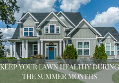 Keep Your Lawn Healthy During the summer months